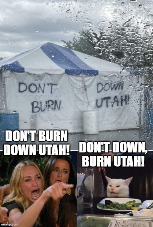Since when do graffiti artist care about grammar? | DON'T BURN DOWN UTAH! DON'T DOWN, BURN UTAH! | image tagged in memes,woman yelling at cat | made w/ Imgflip meme maker