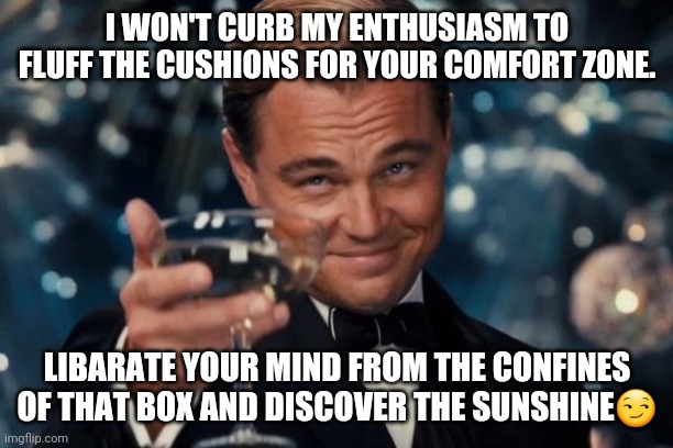 Leonardo Dicaprio Cheers | I WON'T CURB MY ENTHUSIASM TO FLUFF THE CUSHIONS FOR YOUR COMFORT ZONE. LIBARATE YOUR MIND FROM THE CONFINES OF THAT BOX AND DISCOVER THE SUNSHINE😏 | image tagged in memes,leonardo dicaprio cheers | made w/ Imgflip meme maker