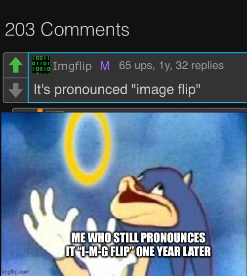 ME WHO STILL PRONOUNCES IT “I-M-G FLIP” ONE YEAR LATER | image tagged in sonic derp,imgflip | made w/ Imgflip meme maker