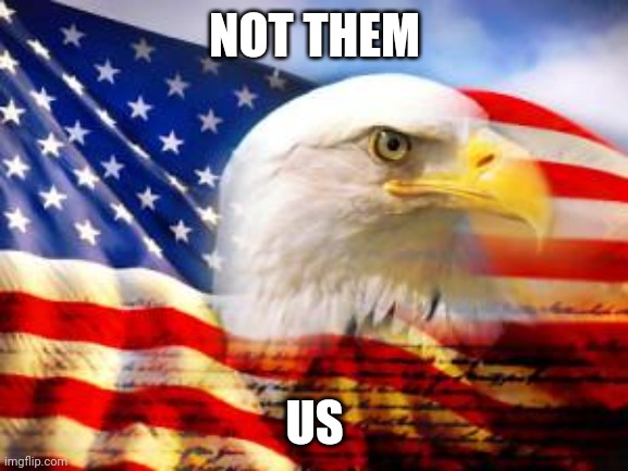 NOT THEM US | image tagged in american flag | made w/ Imgflip meme maker