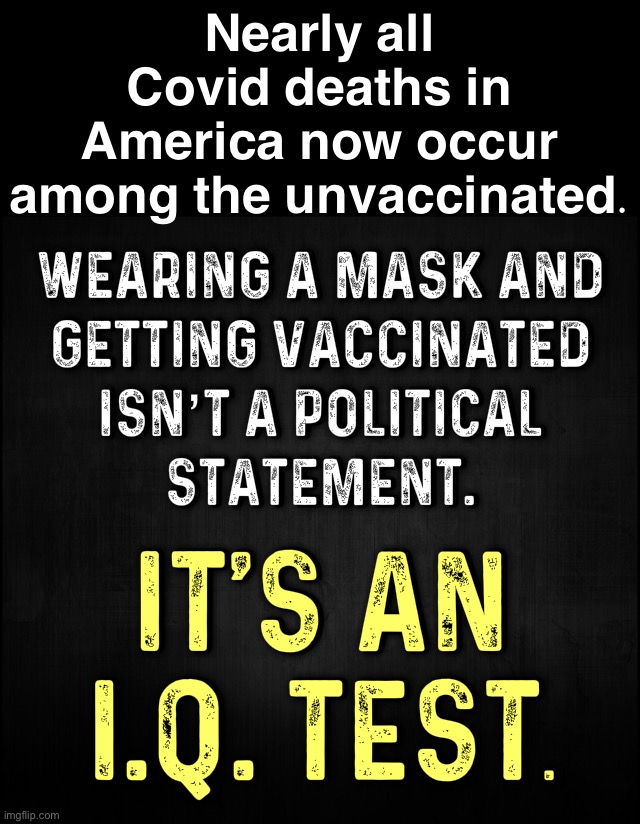 If you’re medically able to be vaccinated, there’s no excuse anymore. | Nearly all Covid deaths in America now occur among the unvaccinated. | image tagged in mask vaccinated iq test,vaccines,vaccination,vaccinations,covid-19,coronavirus | made w/ Imgflip meme maker