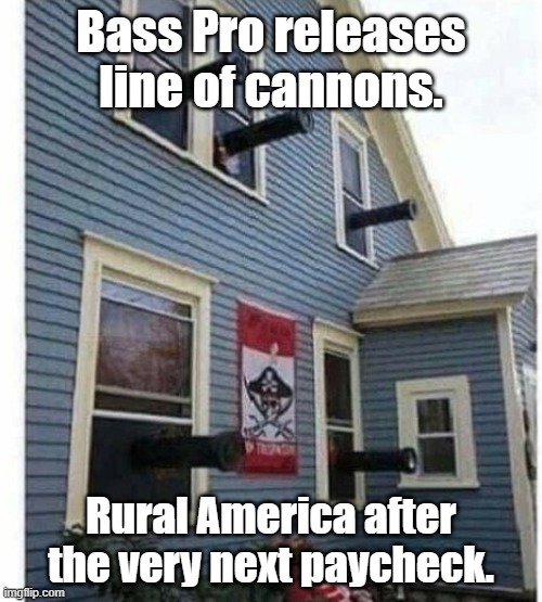 Home defense cannons | Bass Pro releases line of cannons. Rural America after the very next paycheck. | image tagged in 2nd amendment | made w/ Imgflip meme maker