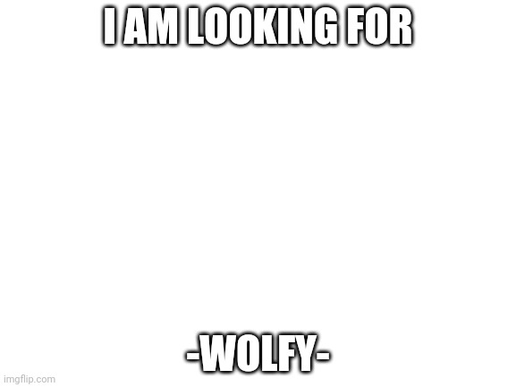 Help me find them please | I AM LOOKING FOR; -WOLFY- | image tagged in blank white template | made w/ Imgflip meme maker