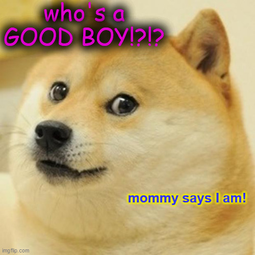 Doge Meme | who's a GOOD BOY!?!? mommy says I am! | image tagged in memes,doge | made w/ Imgflip meme maker
