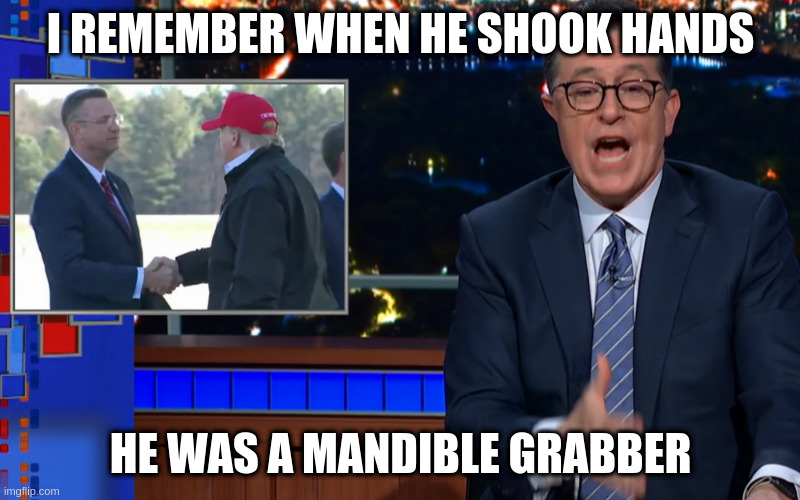 Shaking hands with an idiot | I REMEMBER WHEN HE SHOOK HANDS; HE WAS A MANDIBLE GRABBER | image tagged in shaking hands with an idiot | made w/ Imgflip meme maker