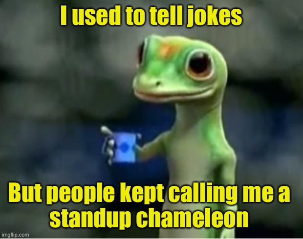 Geico Gecko | I used to tell jokes; But people kept calling me a 
standup chameleon | image tagged in geico gecko | made w/ Imgflip meme maker