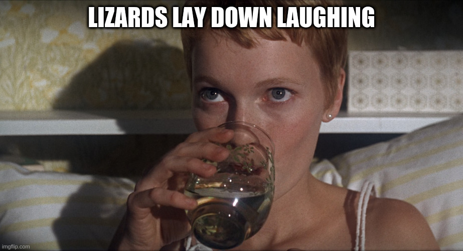 Rosemary | LIZARDS LAY DOWN LAUGHING | image tagged in rosemary | made w/ Imgflip meme maker