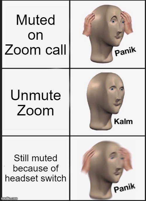 Zoom calls are always like this | Muted on Zoom call; Unmute Zoom; Still muted because of headset switch | image tagged in memes,panik kalm panik | made w/ Imgflip meme maker