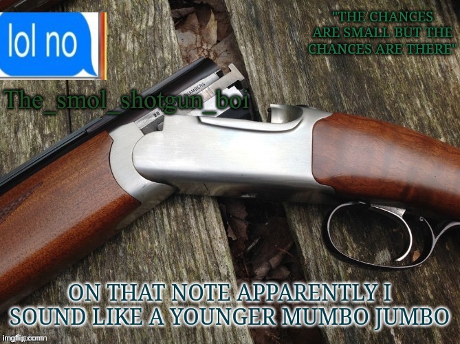 The youtuber | ON THAT NOTE APPARENTLY I SOUND LIKE A YOUNGER MUMBO JUMBO | image tagged in smol shotgun boi temp | made w/ Imgflip meme maker