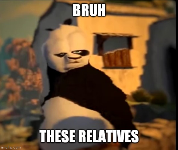 Use this for whenever you see a chance to use it for r reletives | BRUH; THESE RELATIVES | image tagged in kung fu panda | made w/ Imgflip meme maker