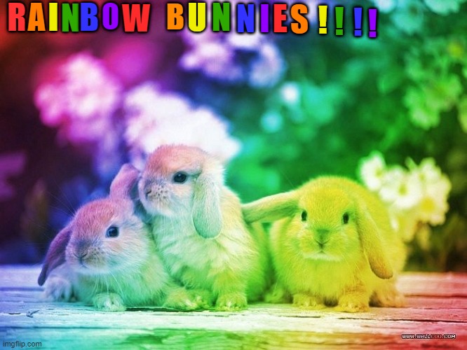Rainbow bunnies!! :3 | R; N; ! ! ! S; E; I; N; A; U; B; W; O; B; N; I; ! | image tagged in rainbow,bunny,bunnies,cute,yes | made w/ Imgflip meme maker