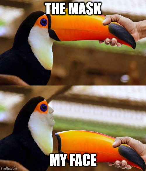 Toucan Beak | THE MASK; MY FACE | image tagged in toucan beak | made w/ Imgflip meme maker