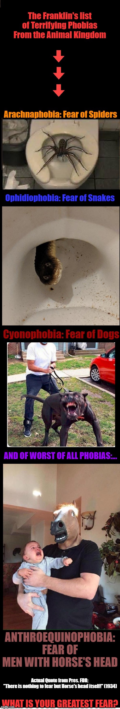This Phobia is Real! | ANTHROEQUINOPHOBIA: FEAR OF MEN WITH HORSE'S HEAD | image tagged in memes,phobia,fear,spiders,snakes,dogs | made w/ Imgflip meme maker