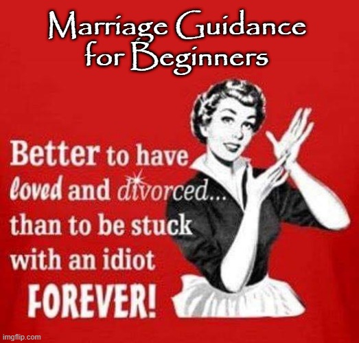 Marriage Guidance for Beginners | Marriage Guidance
for Beginners | image tagged in thoroughly modern marriage | made w/ Imgflip meme maker