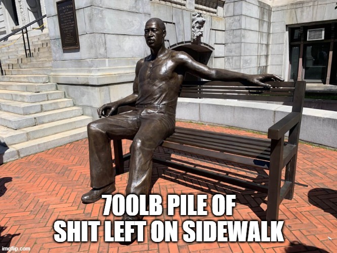 George Floyd bench | 700LB PILE OF SHIT LEFT ON SIDEWALK | image tagged in george floyd bench | made w/ Imgflip meme maker