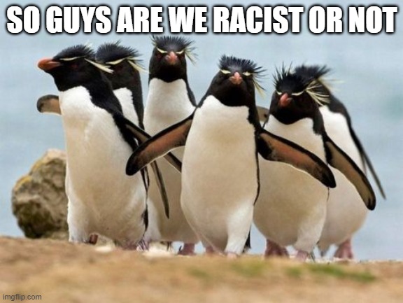Penguin Gang | SO GUYS ARE WE RACIST OR NOT | image tagged in memes,penguin gang | made w/ Imgflip meme maker