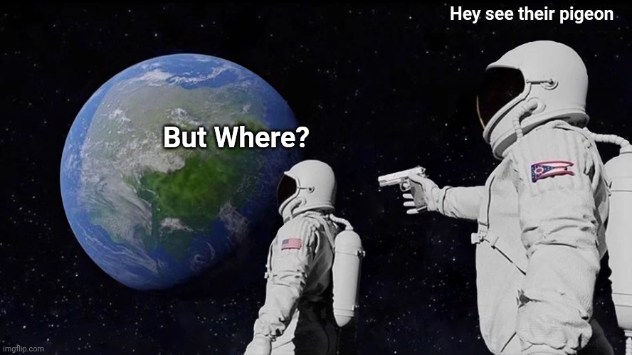 Always Has Been | Hey see their pigeon; But Where? | image tagged in memes,always has been | made w/ Imgflip meme maker