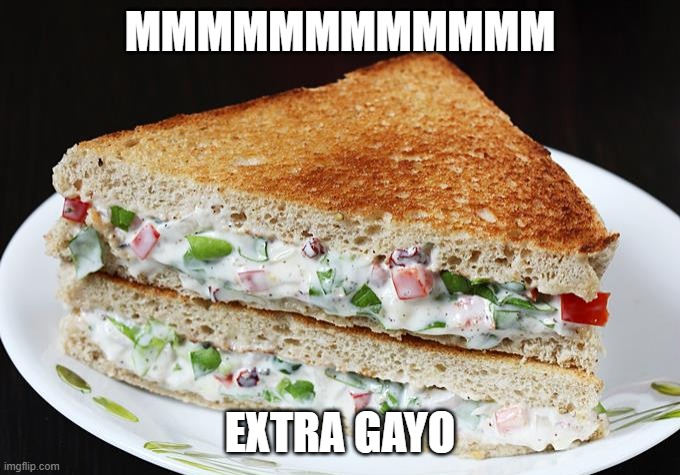 MMMMMMMMMMMM EXTRA GAYO | made w/ Imgflip meme maker