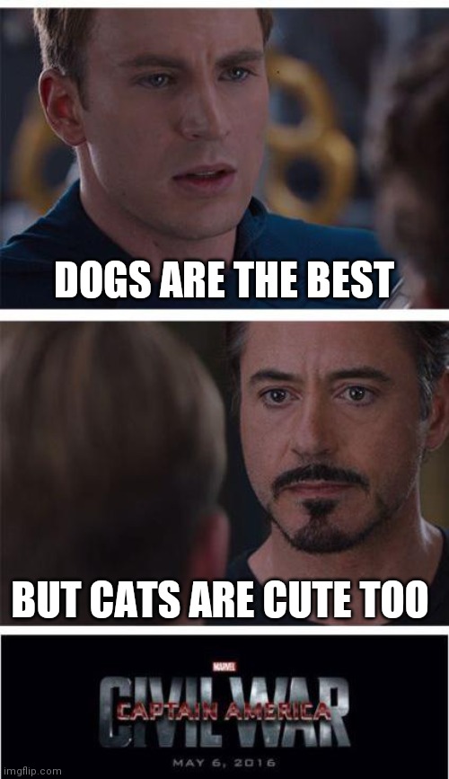 Marvel Civil War 1 Meme | DOGS ARE THE BEST; BUT CATS ARE CUTE TOO | image tagged in memes,marvel civil war 1 | made w/ Imgflip meme maker