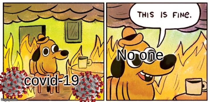 This Is Fine | No one; covid-19 | image tagged in memes,this is fine | made w/ Imgflip meme maker