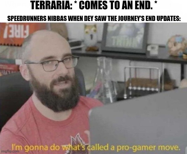 Pro Gamer move | TERRARIA: * COMES TO AN END. *; SPEEDRUNNERS NIBBAS WHEN DEY SAW THE JOURNEY'S END UPDATES: | image tagged in memes,terraria,end of the world | made w/ Imgflip meme maker