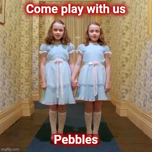 Twins from The Shining | Come play with us Pebbles | image tagged in twins from the shining | made w/ Imgflip meme maker