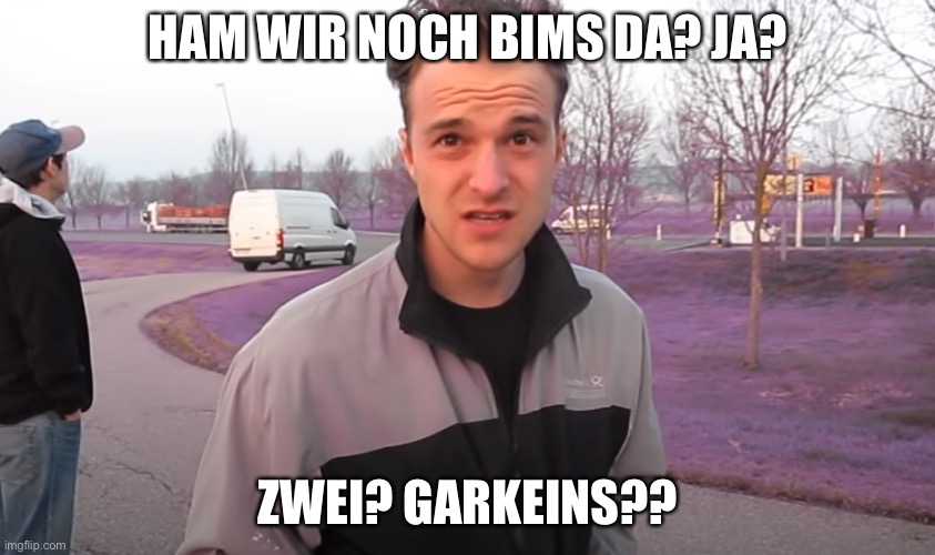 haben wir noch pepps | HAM WIR NOCH BIMS DA? JA? ZWEI? GARKEINS?? | image tagged in haben wir noch pepps | made w/ Imgflip meme maker