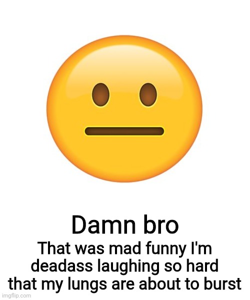 Straight Face | Damn bro; That was mad funny I'm deadass laughing so hard that my lungs are about to burst | image tagged in straight face | made w/ Imgflip meme maker