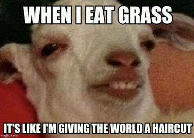 image tagged in eyeroll | made w/ Imgflip meme maker