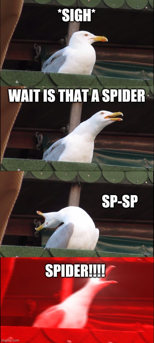 When seagulls don't like spiders | *SIGH*; WAIT IS THAT A SPIDER; SP-SP; SPIDER!!!! | image tagged in memes | made w/ Imgflip meme maker