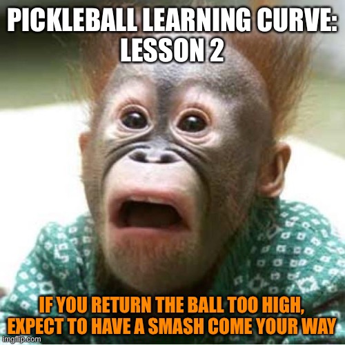 Scared monkey | PICKLEBALL LEARNING CURVE:
LESSON 2; IF YOU RETURN THE BALL TOO HIGH, EXPECT TO HAVE A SMASH COME YOUR WAY | image tagged in scared monkey | made w/ Imgflip meme maker