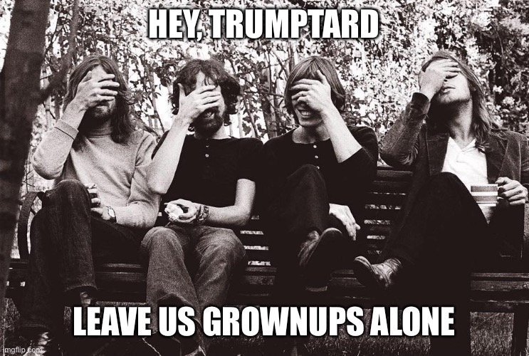 Pink Floyd facepalm | HEY, TRUMPTARD LEAVE US GROWNUPS ALONE | image tagged in pink floyd facepalm | made w/ Imgflip meme maker