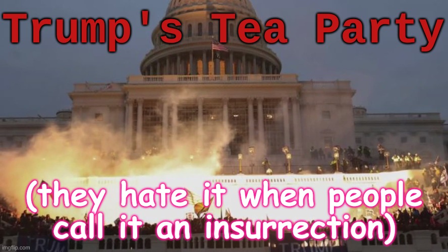 Trump's Tea Party - Not an insurrection | Trump's Tea Party; (they hate it when people call it an insurrection) | image tagged in capital riot,insurrection,tea party,trump,republican,coup | made w/ Imgflip meme maker