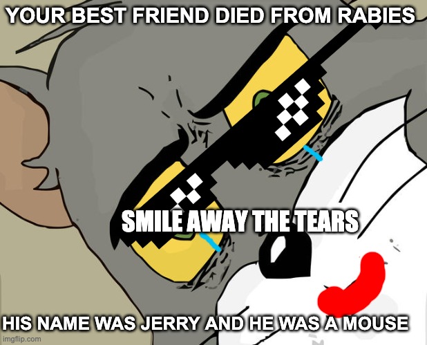he be sad while smiling? | YOUR BEST FRIEND DIED FROM RABIES; SMILE AWAY THE TEARS; HIS NAME WAS JERRY AND HE WAS A MOUSE | image tagged in memes,unsettled tom | made w/ Imgflip meme maker