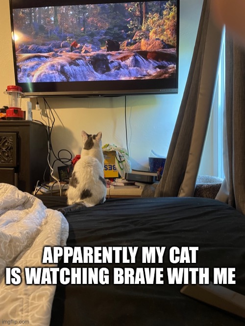 APPARENTLY MY CAT IS WATCHING BRAVE WITH ME | made w/ Imgflip meme maker