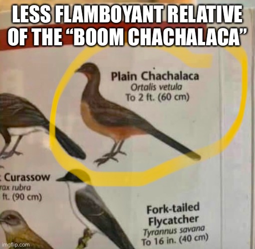 LESS FLAMBOYANT RELATIVE OF THE “BOOM CHACHALACA” | image tagged in funny,funny memes,fun | made w/ Imgflip meme maker