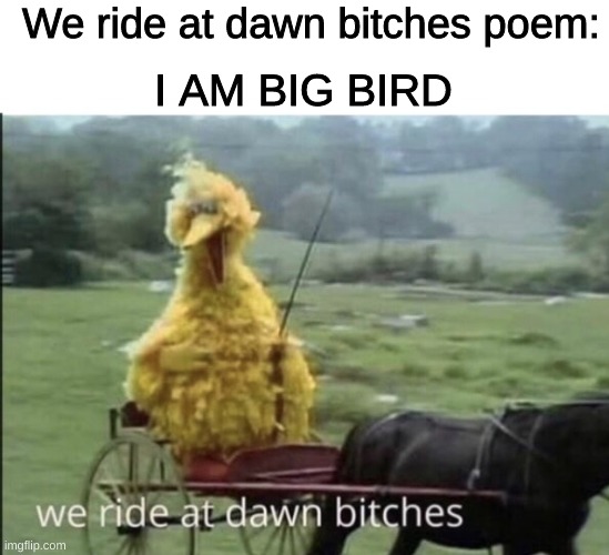 We ride at dawn bitches | We ride at dawn bitches poem:; I AM BIG BIRD | image tagged in we ride at dawn bitches | made w/ Imgflip meme maker