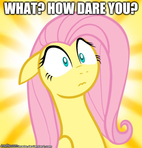 Shocked Fluttershy | WHAT? HOW DARE YOU? | image tagged in shocked fluttershy | made w/ Imgflip meme maker