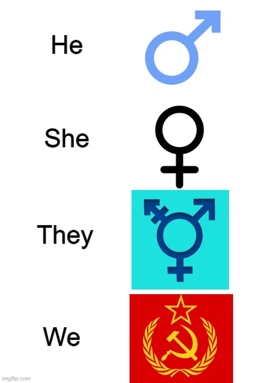 pronouns | He; She; They; We | image tagged in blank white template,pronouns,communism,our,types,communist | made w/ Imgflip meme maker