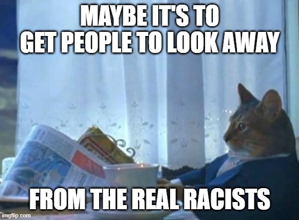 Cat newspaper | MAYBE IT'S TO GET PEOPLE TO LOOK AWAY FROM THE REAL RACISTS | image tagged in cat newspaper | made w/ Imgflip meme maker