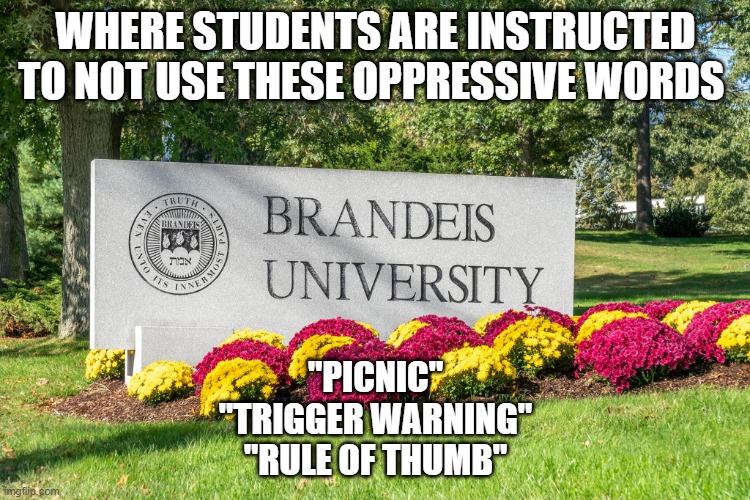 Welcome to the world of crazy | WHERE STUDENTS ARE INSTRUCTED TO NOT USE THESE OPPRESSIVE WORDS; "PICNIC"
"TRIGGER WARNING"
"RULE OF THUMB" | image tagged in picnic,trigger warning,rule of thumb | made w/ Imgflip meme maker