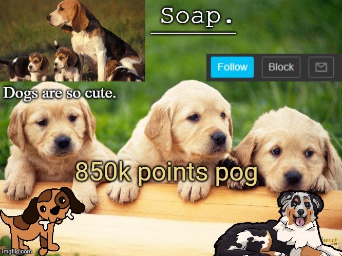 Soap doggo temp | 850k points pog | image tagged in soap doggo temp ty yachi | made w/ Imgflip meme maker