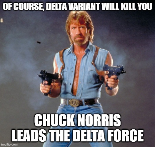 Chuck Norris Guns |  OF COURSE, DELTA VARIANT WILL KILL YOU; CHUCK NORRIS LEADS THE DELTA FORCE | image tagged in memes,chuck norris guns,chuck norris | made w/ Imgflip meme maker
