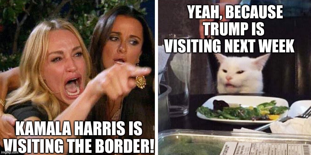 VP Harris is Visiting Border, | YEAH, BECAUSE TRUMP IS 
VISITING NEXT WEEK; KAMALA HARRIS IS VISITING THE BORDER! | image tagged in smudge the cat,kamala harris,border visit,donald trump | made w/ Imgflip meme maker