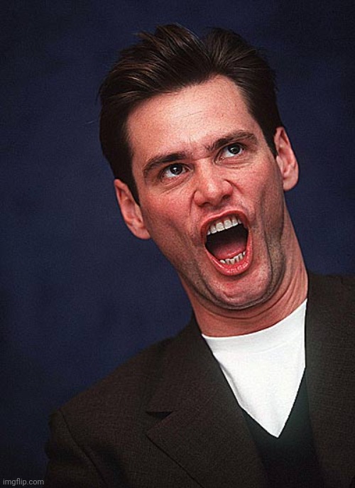 jim carrey duh  | image tagged in jim carrey duh | made w/ Imgflip meme maker