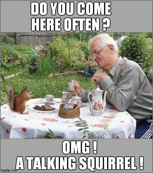 Tea For Two ? | DO YOU COME HERE OFTEN ? OMG !
A TALKING SQUIRREL ! | image tagged in fun,tea,squirrel | made w/ Imgflip meme maker