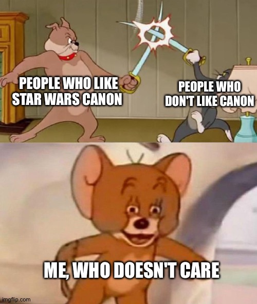 Tom and Jerry swordfight | PEOPLE WHO LIKE STAR WARS CANON; PEOPLE WHO DON'T LIKE CANON; ME, WHO DOESN'T CARE | image tagged in tom and jerry swordfight | made w/ Imgflip meme maker
