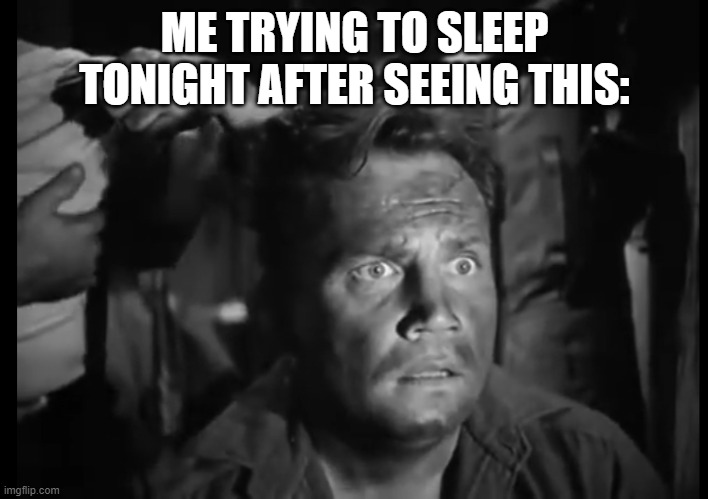 'Wait what' solder | ME TRYING TO SLEEP TONIGHT AFTER SEEING THIS: | image tagged in 'wait what' solder | made w/ Imgflip meme maker