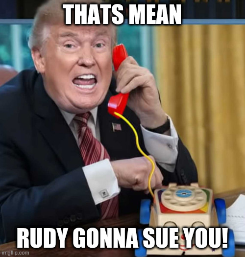 gotta use this meme while still relevant - -too late | THATS MEAN RUDY GONNA SUE YOU! | image tagged in i'm the president | made w/ Imgflip meme maker