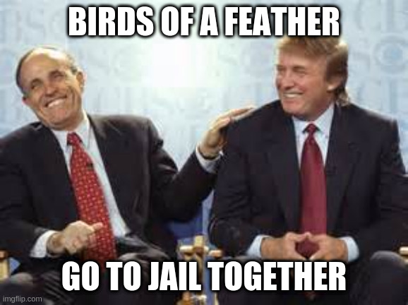 donald trump rudy giuliani | BIRDS OF A FEATHER; GO TO JAIL TOGETHER | image tagged in donald trump rudy giuliani | made w/ Imgflip meme maker